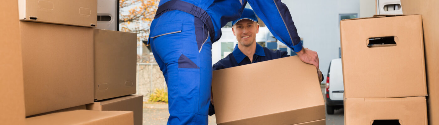 Why Movers for the Relocation?